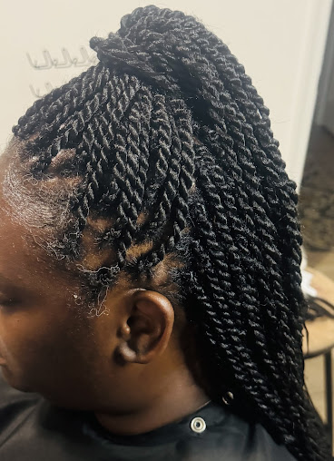 Creative Braid Art